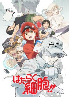 Hataraku Saibou!! Season 2 Sub Indo