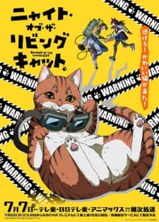 Nyaight of the Living Cat Sub Indo
